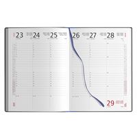 AGENDA SETTIMANALE